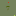 Thephotoforum.com Favicon