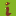 Zahras.com Favicon