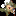 Livescorehunter.com Favicon