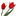 Maysflower.com Favicon