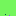 Bulterier.pl Favicon